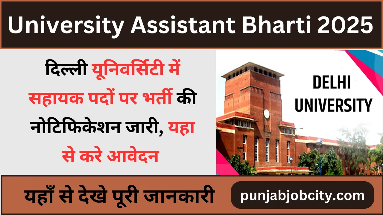 University Assistant Bharti 2024