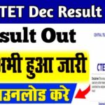 CTET December Result 2024